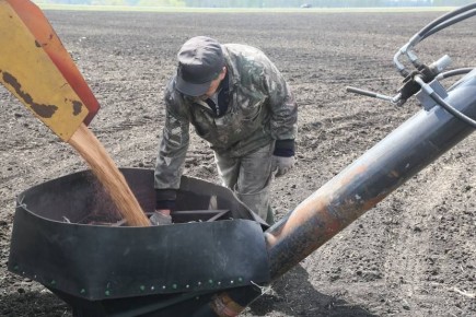 Яровой сев — в оптимальные сроки
