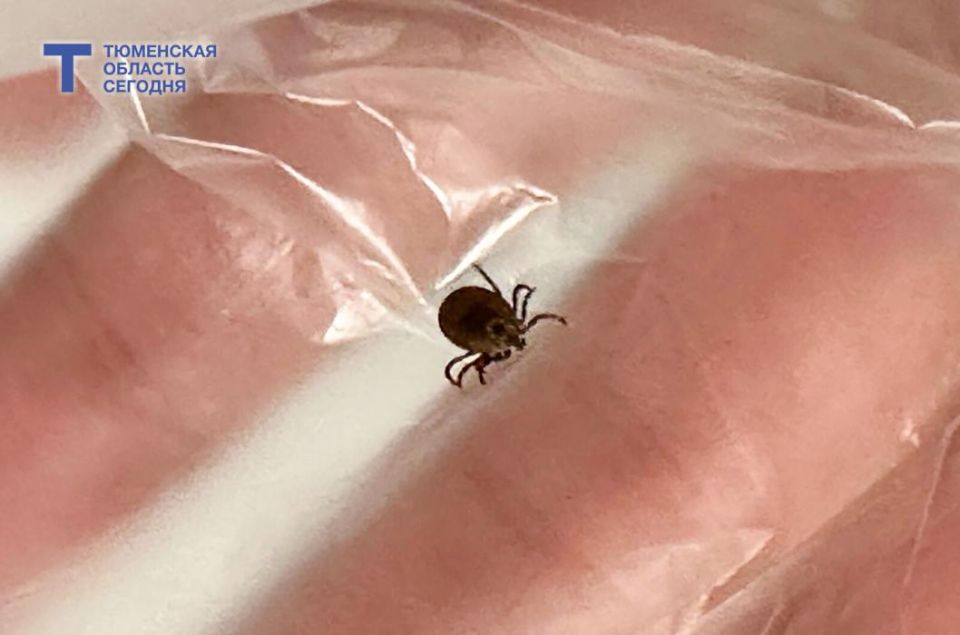 ����� ���������� ���������� � ������ �� ����������� ������ � ��������� �������