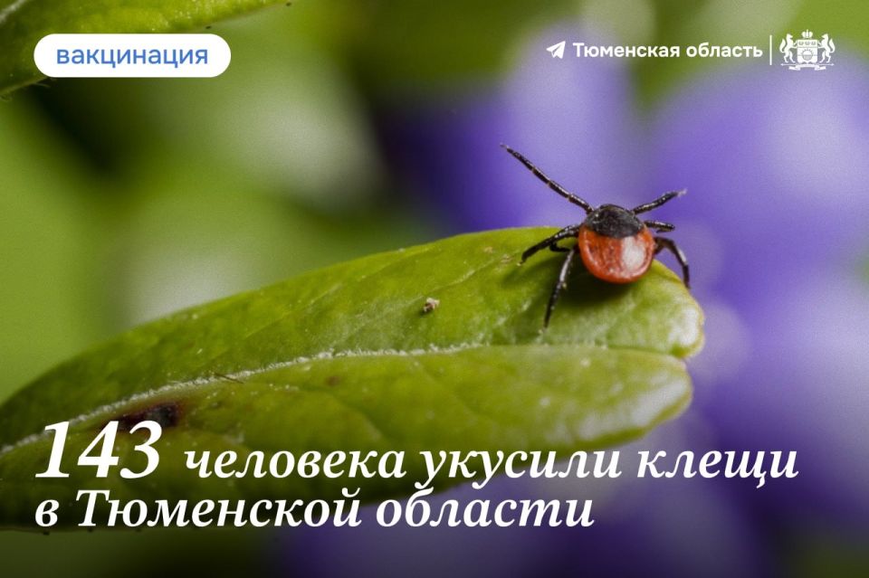 � ��������� ������� 143 �������� �������� �����