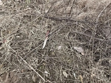 ����� ������� ������. ������� ������� ���� ������������: ��� ������� ���������� ���������