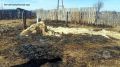 Сжигал мусор - сжег все вокруг: в Тюменской области произошел пожар из-за невнимательности