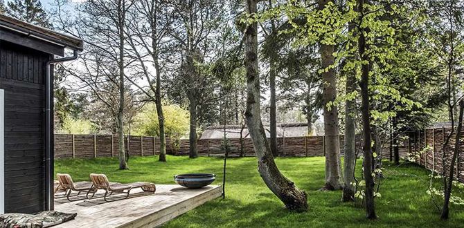 ������������� ����� � ����: ������� ������ � ����