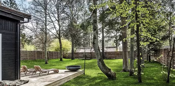 Скандинавский стиль в саду: секреты успеха и уюта