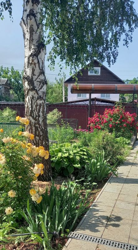 ����������� ��������� ������ ���� � ������� � ������ ������