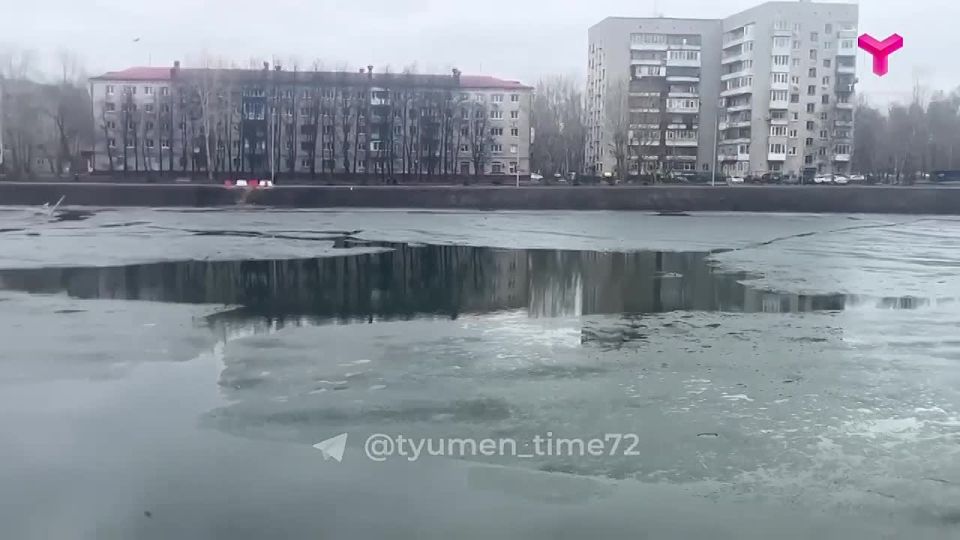 �� ���� ������ ��������� ��������