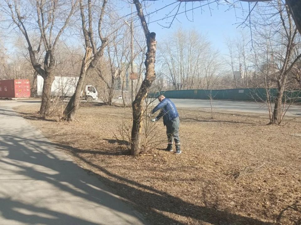 ������ ���������: ��������� ������� ����� � ����� ���� �������� ������� � ������!