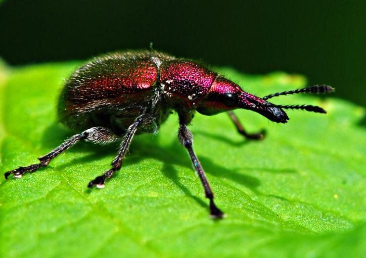 ��� �������� ��� �� ������������� ���������� � ��������