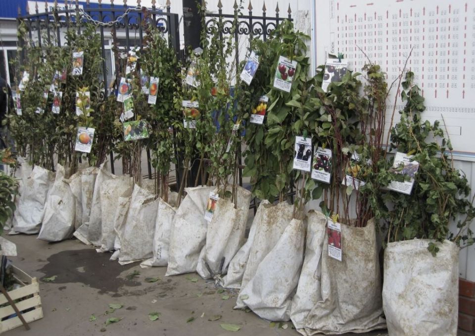 ������������� �� �������: ������ ������� �������� � ������ � ��� gamble