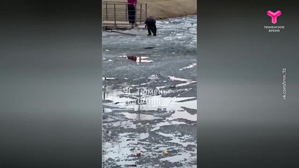 ������ �� ������� ����� �������� � ��������, ������������� ���������� ���