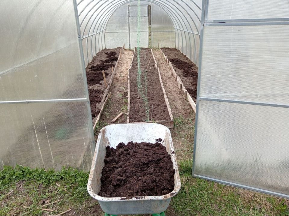 ���������� ������ � �������: ���� ��������� ��������