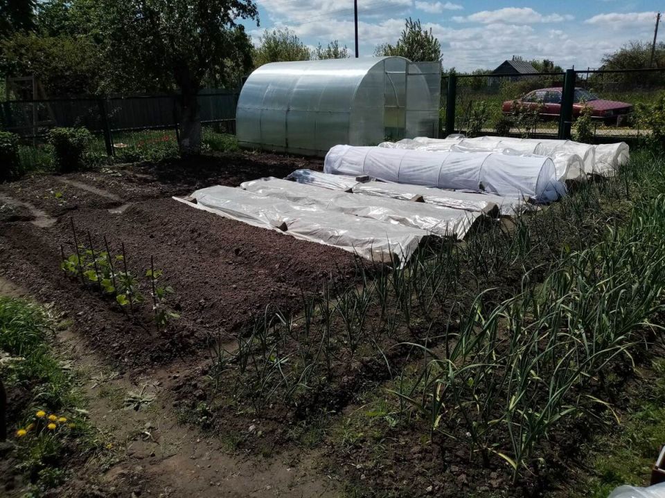 ��� ������ � �������: ������� �����������, ������� ���������� ����� ��� ������