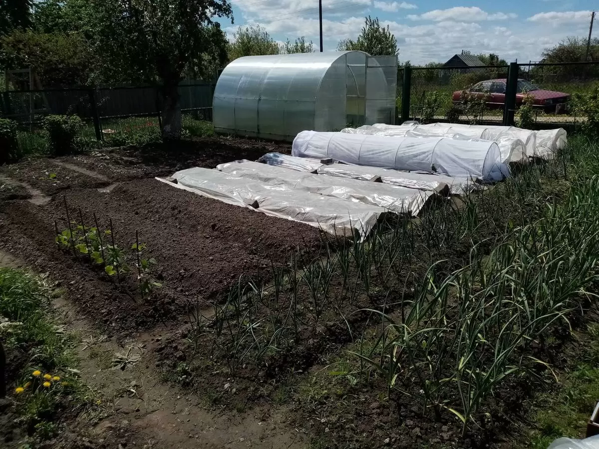 Как огород в радость: простая перестройка, которая освободила время для отдыха