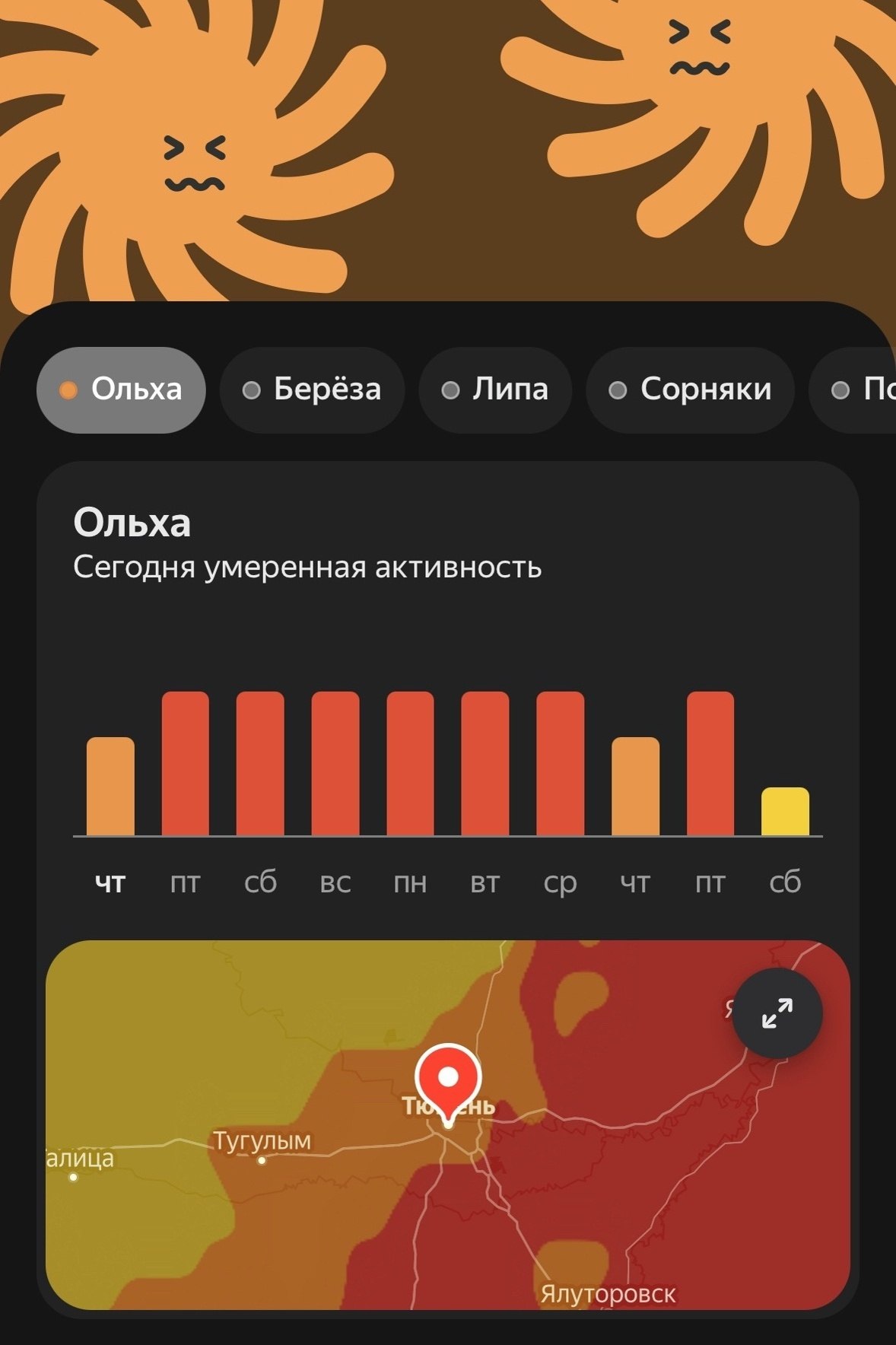 Тюменцы, напоминаем: с 10 по 15 апреля ожидается пик пыльцы ольхи