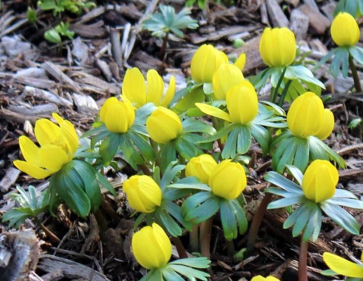 ����������� �����: �������� ���������� ��� ������ ����