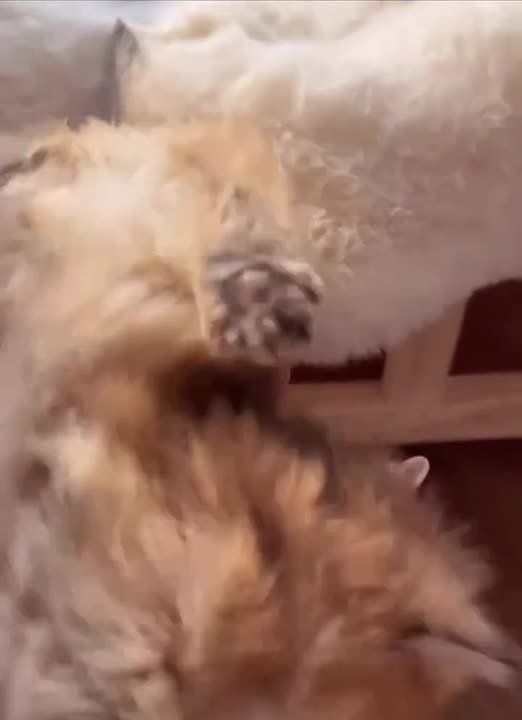 �������� ������ � ������������� ������!