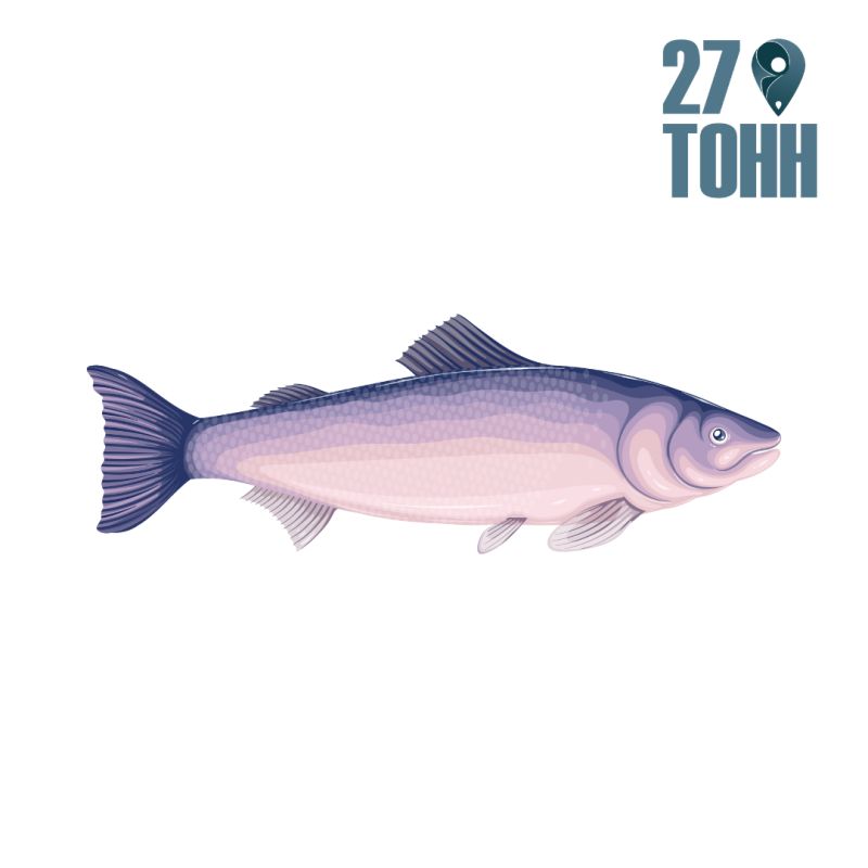 ������ ����� �������� ����: 10 ������ �������� � � ���� ������