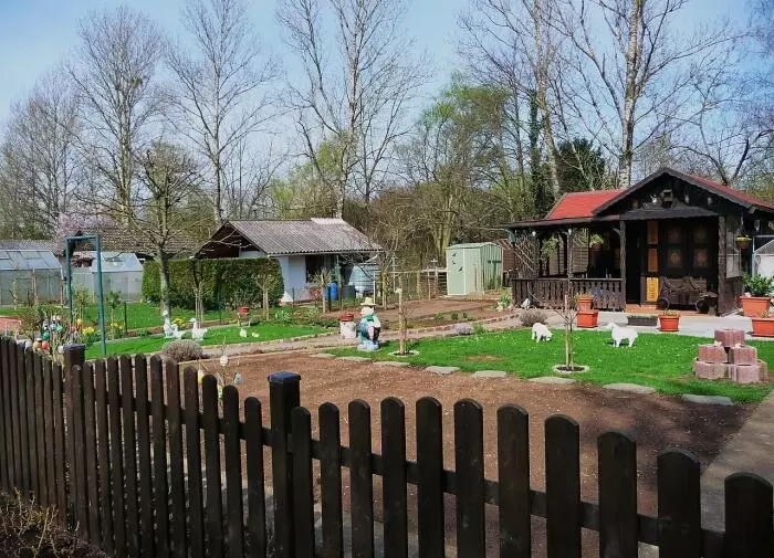 Как создать идеальный сад: полезные советы