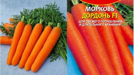 ����� ������� ������� F1: ��������� ���������� ��� ����������� �����