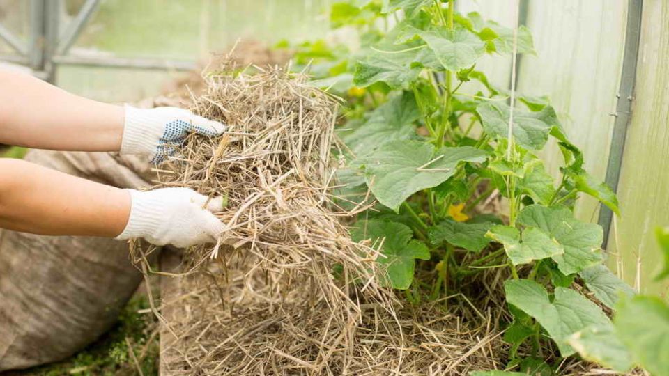 �������� ������: ��� ���������� ������ ����������� ������