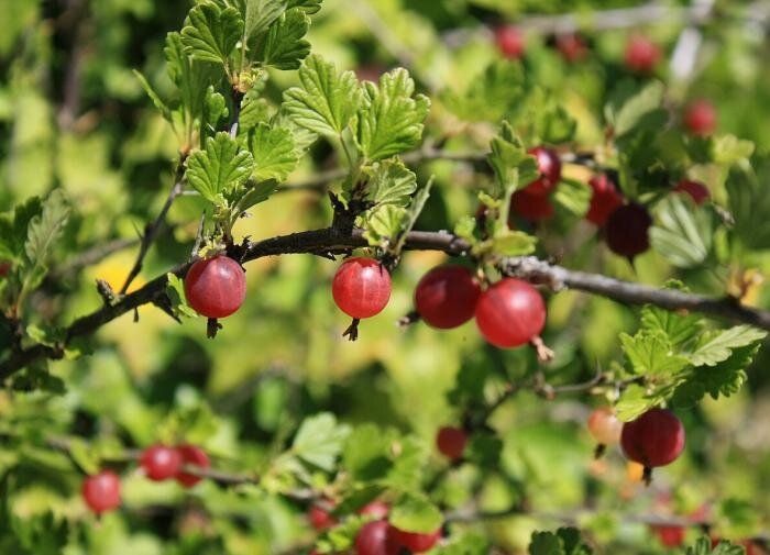 ��� �������� ��������� �� ������� ������: ������ � ������������