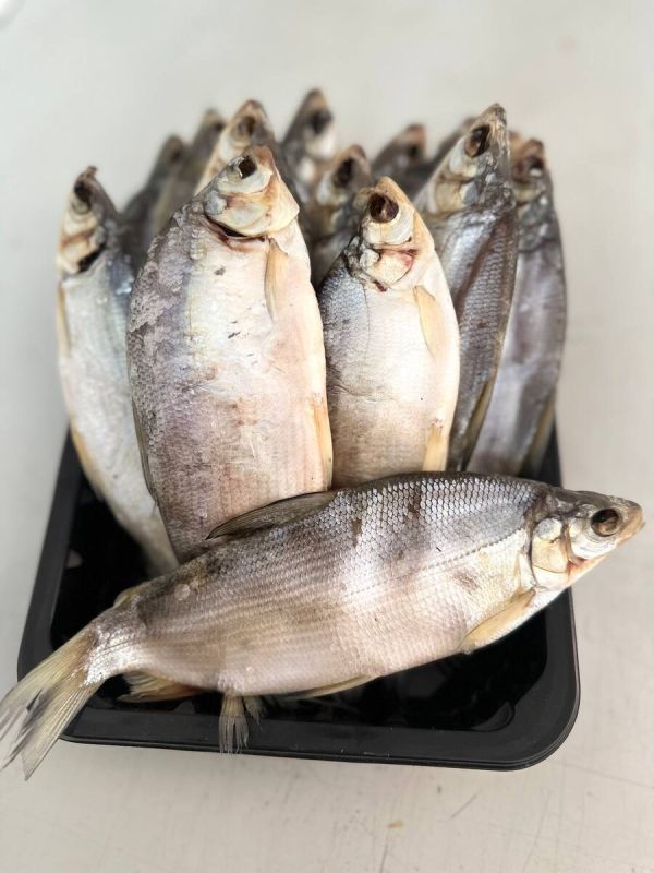 ������������ �������: ������ ��������� �������� �� ���� 900 ������ �� ���������