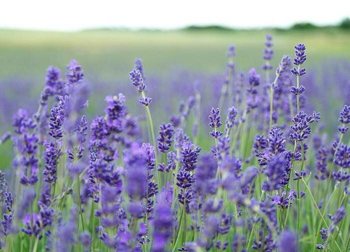 ����������� � ���������� �������: � ��� �� ����� � ��� ������� ����