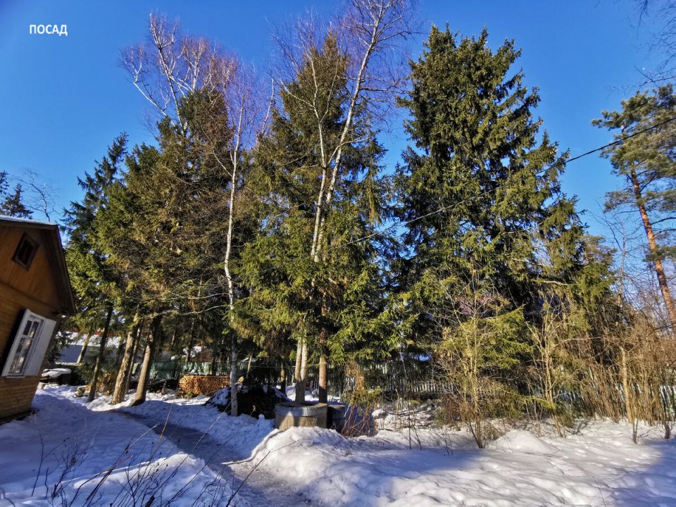 ���������� ��� ��� ������ ����: ������� � �������