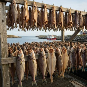 ������� ��������� ������� ����: ������������� ����� ��� ����� ������