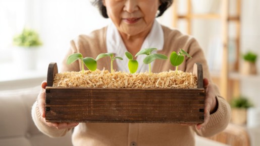 �������� �������: ��� ��������� ������ �������� ��� ������ �������