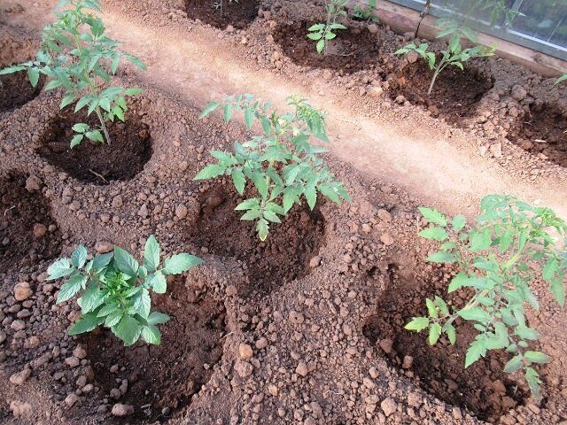 ��� ��������� ���������� ������ � ������� � ���: ������ � ��������