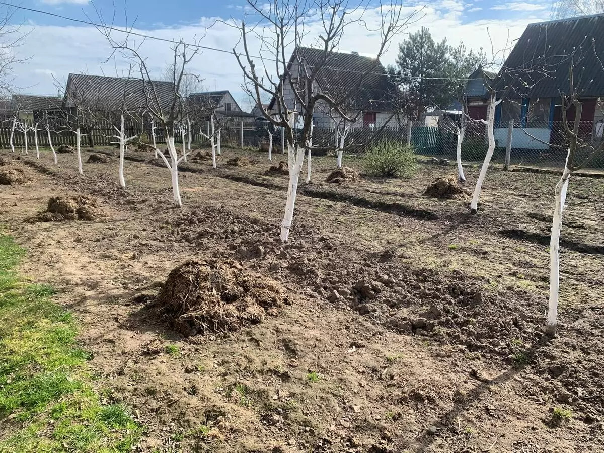 Защита сада: как подготовить растения к весеннему сезону