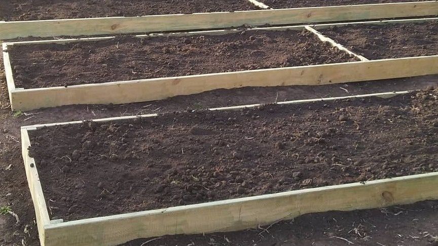 ����� � �������: ������� ���������� ������ ��� ����������� �������