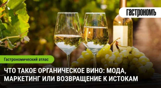 Органическое вино: мода, маркетинг или возвращение к истокам?