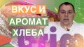 Баланс брожения в закваске: как вкус и аромат хлеба рождаются во времени и составе