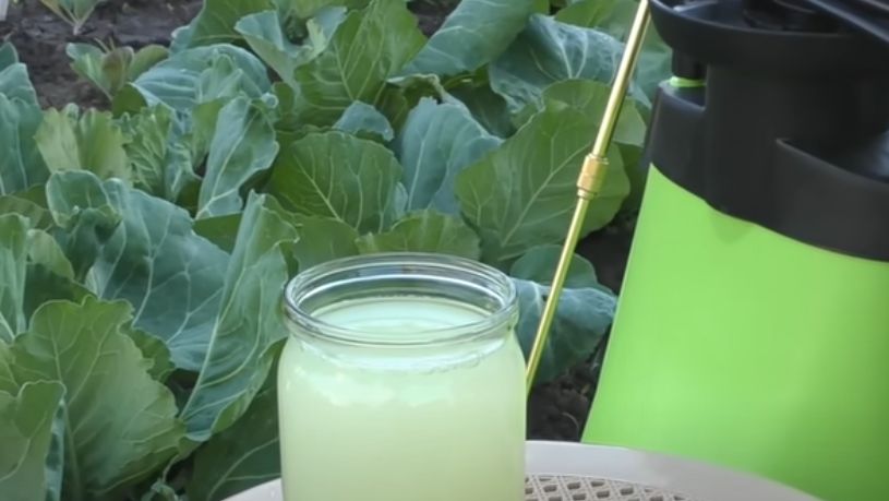 ��� �������� ������� ������� �������: ������� ����������� ���������