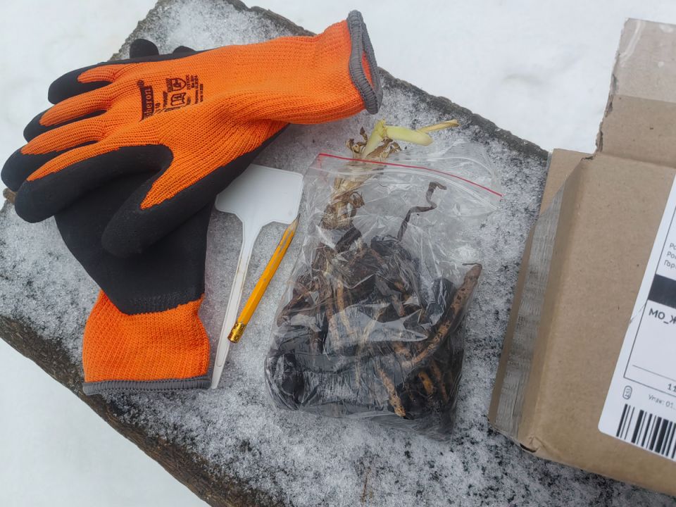 ���������� ������� ��� ������ ������� �������������