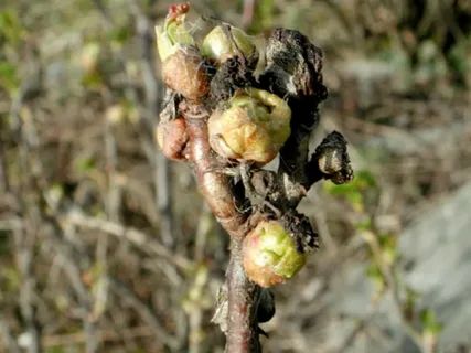 ������ � ������ � �������� ������: ��� ������ ��������� �� ������