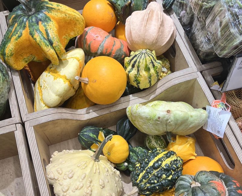 ���� � ��������: ��� ������������ ������� ������ �����