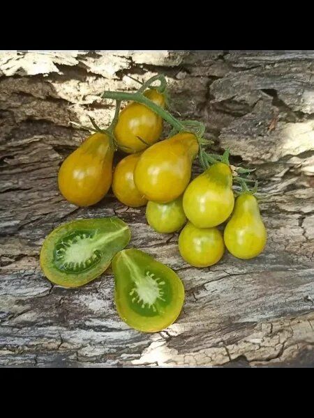 ����� ����������� �����: ���������� ���� � ����� ��� ������ �������