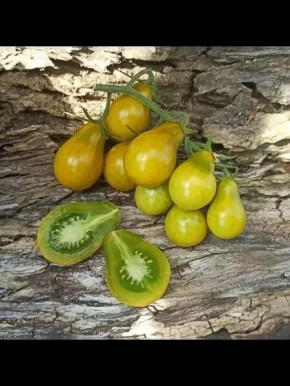 ����� ����������� �����: ���������� ���� � ����� ��� ������ �������