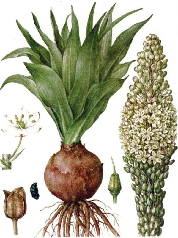 ������� ���: ��������� ������ ������ ���� � �� ������