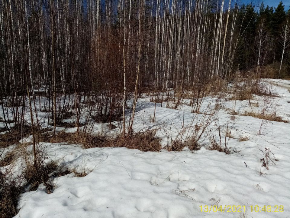 ����� ����� �������� �������� ������ � ����: ����� � ��� �.���������