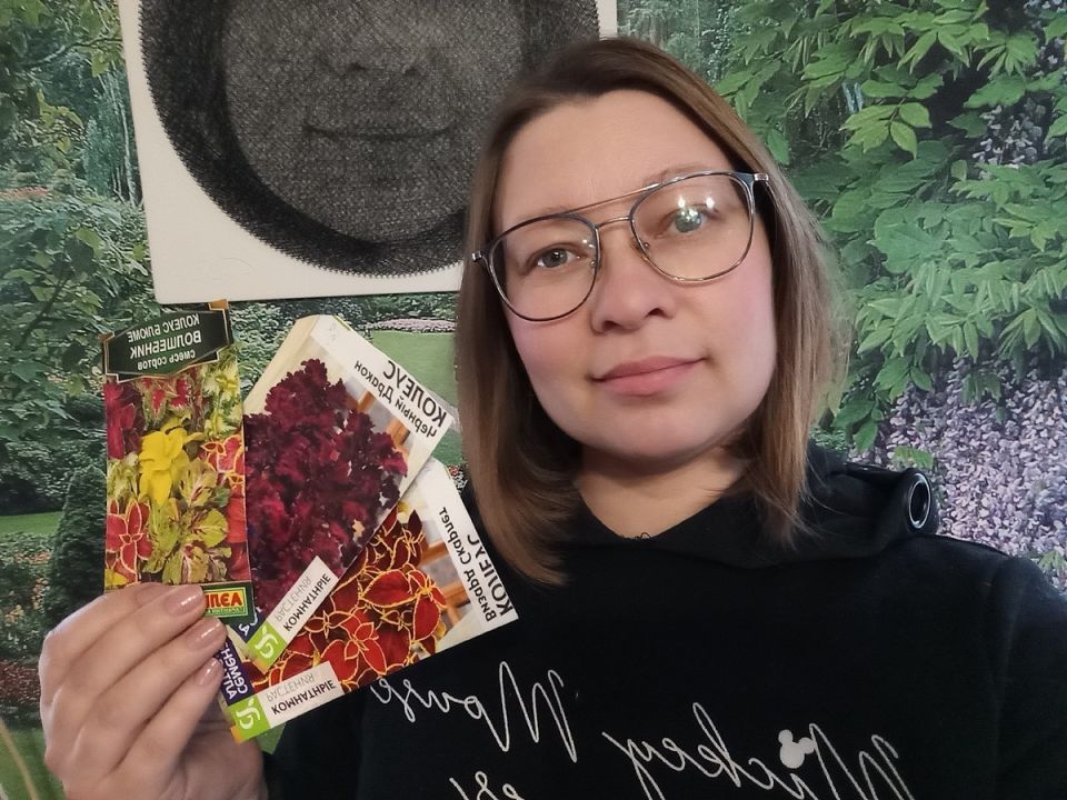 ������� � ��������������� ��������: ��� ������� � 2026 ����