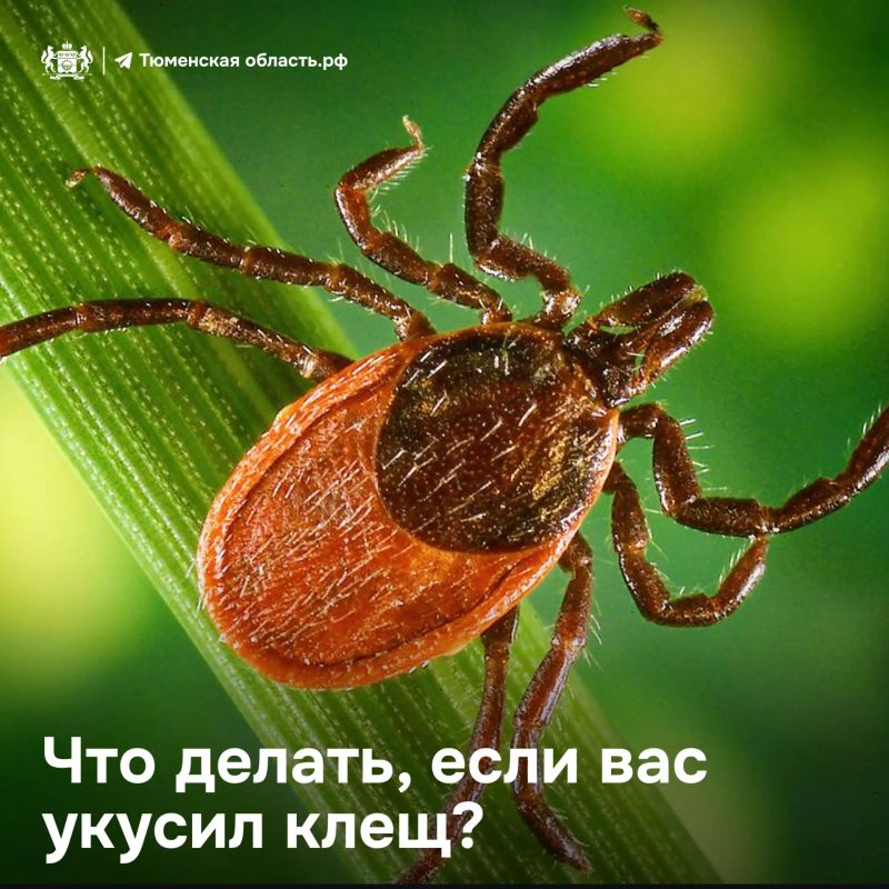 ����� � ����� ������ �... ������