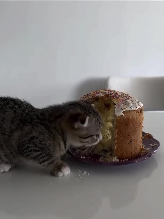 ����� �� ��������� ������: