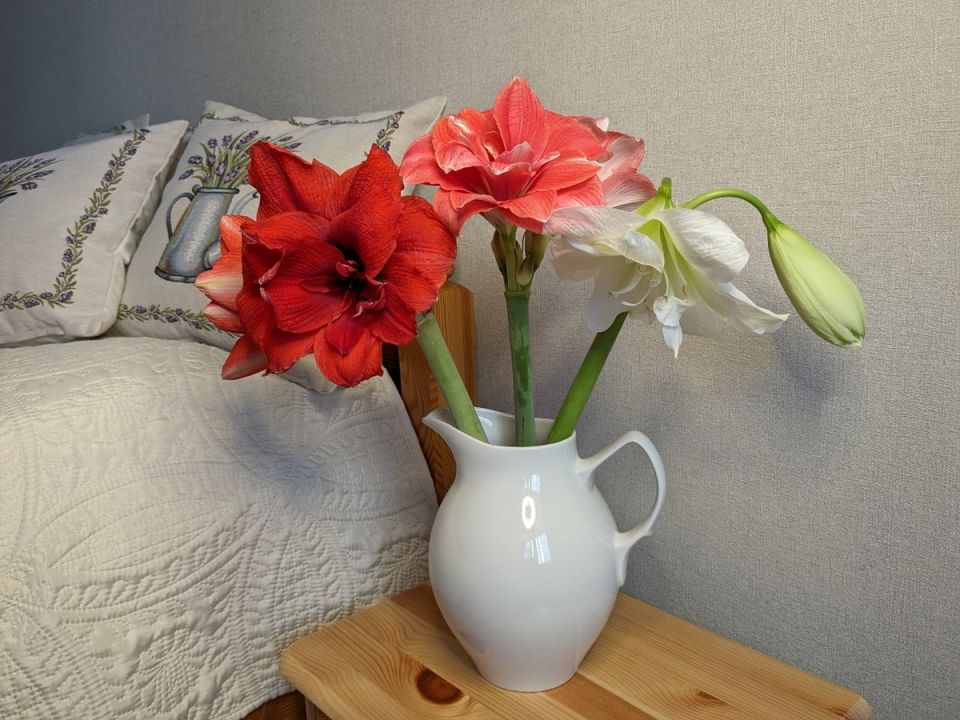 �������-��������: ��� ��� ��������� � ������� �� ����� ������