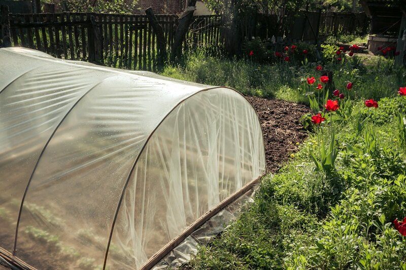 ������ �� ���: ������ � ����������