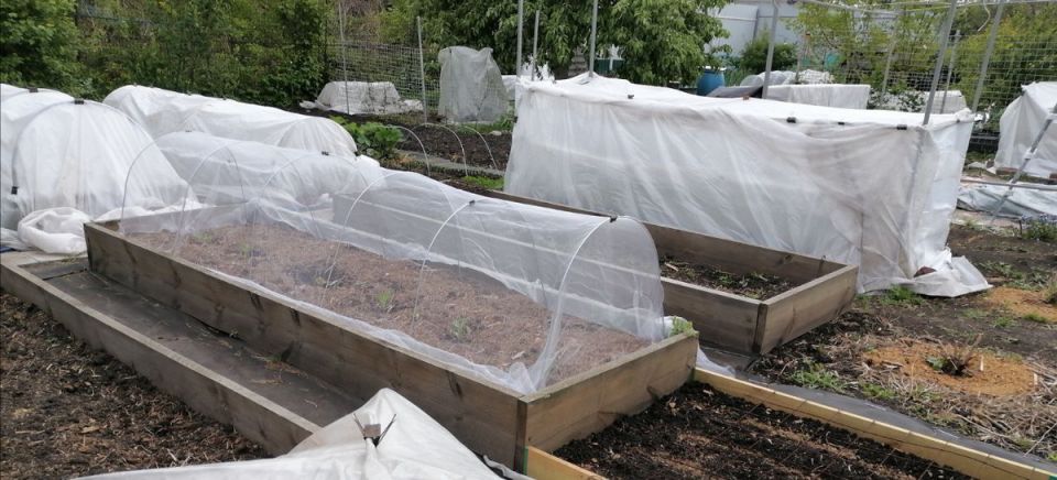 ��������� �����������: ��� �������� ������ �� ����������� ����������