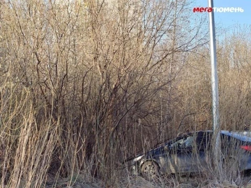 ��� ������ ������, ���������� ���� ������������� � ���������� � ������