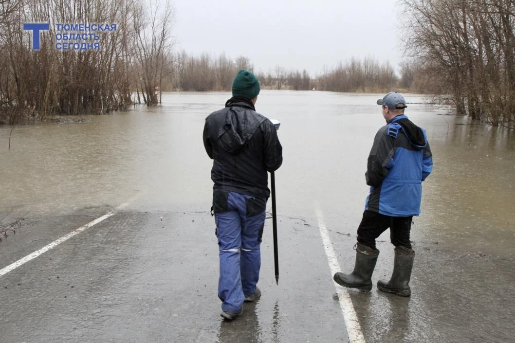 Вторая волна паводка на Ишиме будет ниже прогнозов